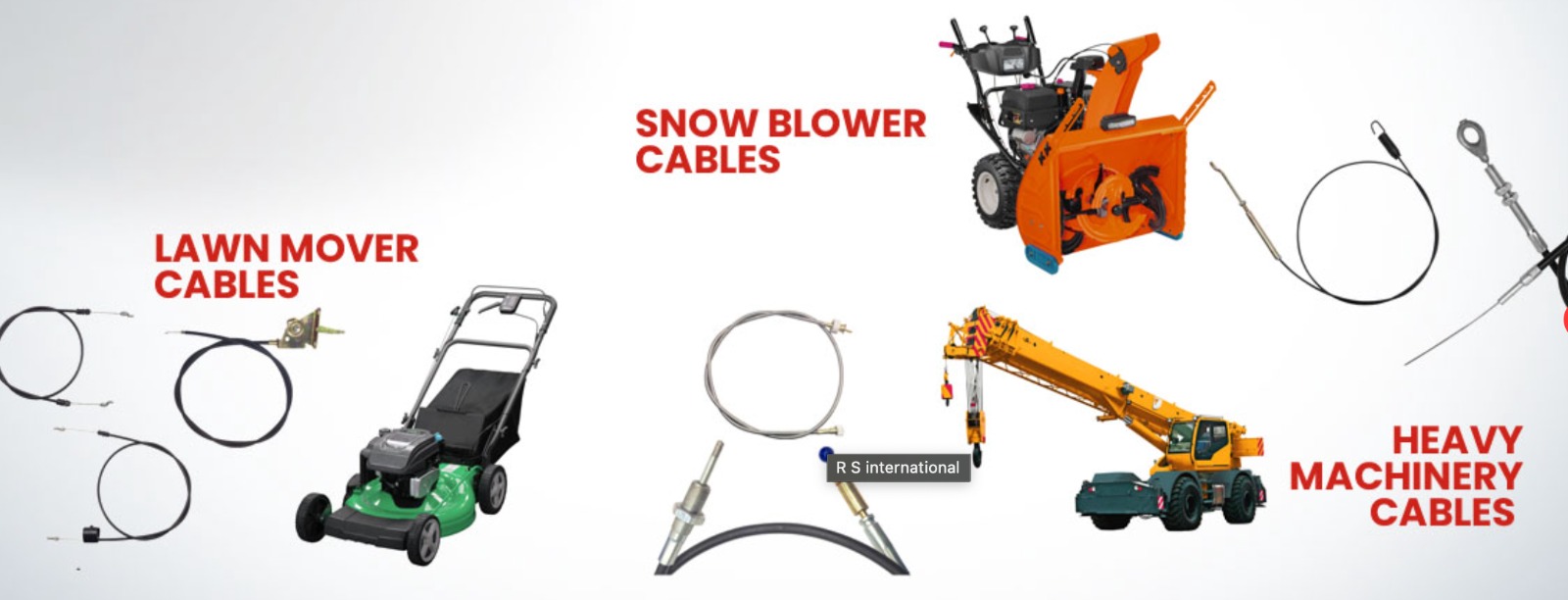 A misty forest path in the morning